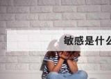 今日更新敏感的意思（敏感詞語意思）