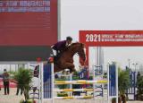 今日更新馬術(shù)比賽（十四運(yùn)會(huì)馬術(shù)賽場迎首秀）
