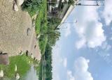 今日更新升仙湖（升仙湖站要變天了）