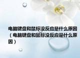 電腦鍵盤和鼠標沒反應是什么原因（電腦鍵盤和鼠標沒反應是什么原因）