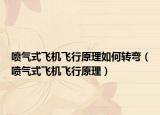 噴氣式飛機飛行原理如何轉(zhuǎn)彎（噴氣式飛機飛行原理）