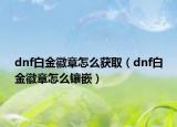 dnf白金徽章怎么獲?。╠nf白金徽章怎么鑲嵌）