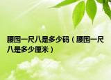 腰圍一尺八是多少碼（腰圍一尺八是多少厘米）