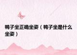 鴨子坐正確坐姿（鴨子坐是什么坐姿）