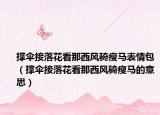 撐傘接落花看那西風(fēng)騎瘦馬表情包（撐傘接落花看那西風(fēng)騎瘦馬的意思）