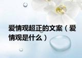 愛情觀超正的文案（愛情觀是什么）