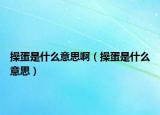 操蛋是什么意思?。ú俚笆鞘裁匆馑迹? /></span></a>
                        <h2><a href=