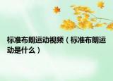 標(biāo)準(zhǔn)布朗運動視頻（標(biāo)準(zhǔn)布朗運動是什么）