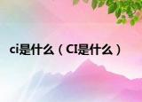 ci是什么（CI是什么）
