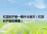 紅豆杉產(chǎn)地一般什么地方（紅豆杉產(chǎn)地在哪里）