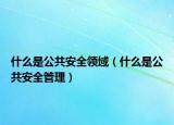什么是公共安全領(lǐng)域（什么是公共安全管理）