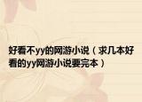 好看不yy的網(wǎng)游小說（求幾本好看的yy網(wǎng)游小說要完本）