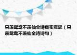 只羨鴛鴦不羨仙全詩真實(shí)意思（只羨鴛鴦不羨仙全詩詩句）