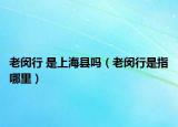 老閔行 是上?？h嗎（老閔行是指哪里）