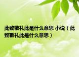 此致敬禮此是什么意思 小說（此致敬禮此是什么意思）