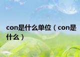 con是什么單位（con是什么）