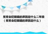 星星會眨眼睛的原因是什么二年級（星星會眨眼睛的原因是什么）