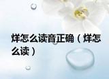 烊怎么讀音正確（烊怎么讀）