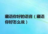 藏語你好的語音（藏語你好怎么說）