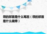 領(lǐng)的部首是什么筆畫(huà)（領(lǐng)的部首是什么偏旁）