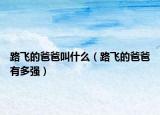 路飛的爸爸叫什么（路飛的爸爸有多強(qiáng)）