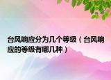 臺(tái)風(fēng)響應(yīng)分為幾個(gè)等級(jí)（臺(tái)風(fēng)響應(yīng)的等級(jí)有哪幾種）