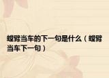螳臂當(dāng)車(chē)的下一句是什么（螳臂當(dāng)車(chē)下一句）