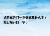 旭日東升打一字謎底是什么字（旭日東升打一字）