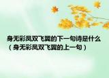 身無(wú)彩鳳雙飛翼的下一句詩(shī)是什么（身無(wú)彩鳳雙飛翼的上一句）
