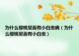 為什么櫻桃里面有小白蟲?。槭裁礄烟依锩嬗行“紫x）