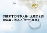 羽翼未豐刀槍不入是什么意思（羽翼未豐 刀槍不入 是什么意思）
