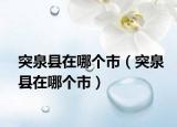 突泉縣在哪個市（突泉縣在哪個市）