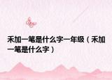禾加一筆是什么字一年級（禾加一筆是什么字）