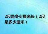2尺是多少厘米長（2尺是多少厘米）