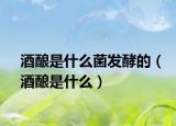 酒釀是什么菌發(fā)酵的（酒釀是什么）