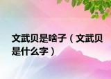 文武貝是啥子（文武貝是什么字）