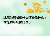 冰花的形狀像什么還會像什么（冰花的形狀像什么）