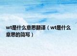 wt是什么意思翻譯（wt是什么意思的簡(jiǎn)寫）