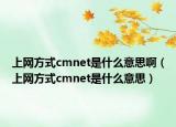 上網(wǎng)方式cmnet是什么意思?。ㄉ暇W(wǎng)方式cmnet是什么意思）