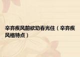 辛棄疾風(fēng)前欲勸春光?。ㄐ翖壖诧L(fēng)格特點(diǎn)）