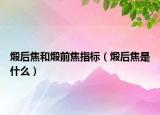 煅后焦和煅前焦指標(biāo)（煅后焦是什么）
