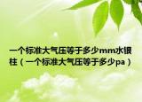 一個標準大氣壓等于多少mm水銀柱（一個標準大氣壓等于多少pa）
