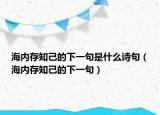海內(nèi)存知己的下一句是什么詩句（海內(nèi)存知己的下一句）