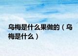 烏梅是什么果做的（烏梅是什么）