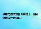 煮豬肉應(yīng)該放什么調(diào)料（一般煮豬肉放什么調(diào)料）