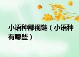 小語(yǔ)種鄙視鏈（小語(yǔ)種有哪些）
