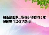 麻雀是國家二級(jí)保護(hù)動(dòng)物嗎（家雀國家?guī)准?jí)保護(hù)動(dòng)物）