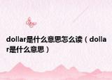 dollar是什么意思怎么讀（dollar是什么意思）