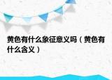 黃色有什么象征意義嗎（黃色有什么含義）