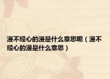 漫不經(jīng)心的漫是什么意思呢（漫不經(jīng)心的漫是什么意思）